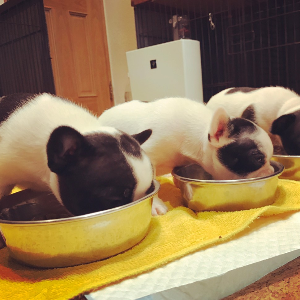 1.お問い合わせ